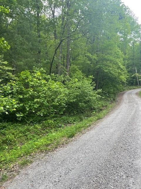 0 Mccormick Dr unit 7568882, Dawsonville, GA 30534 - photo 4