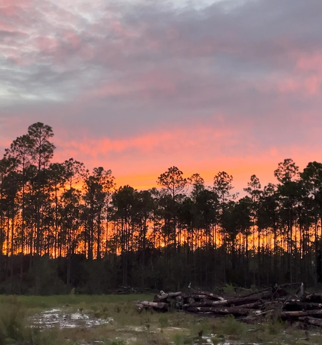 1628 Joe Dugger Rd, Freeport, FL 32439 - photo 4