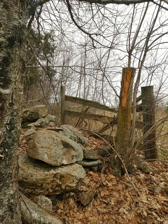 0 Hale Rd, Hubbardston, MA 01452 - photo 2