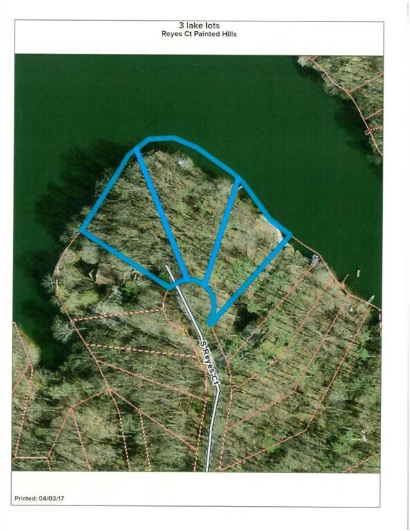 Photo of the 3 lots on the water!