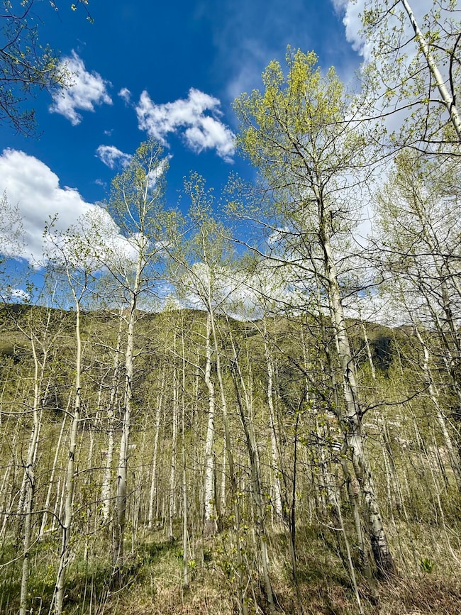 0 S Silver St unit 13-14 43499, Rico, CO 81332 - photo 3