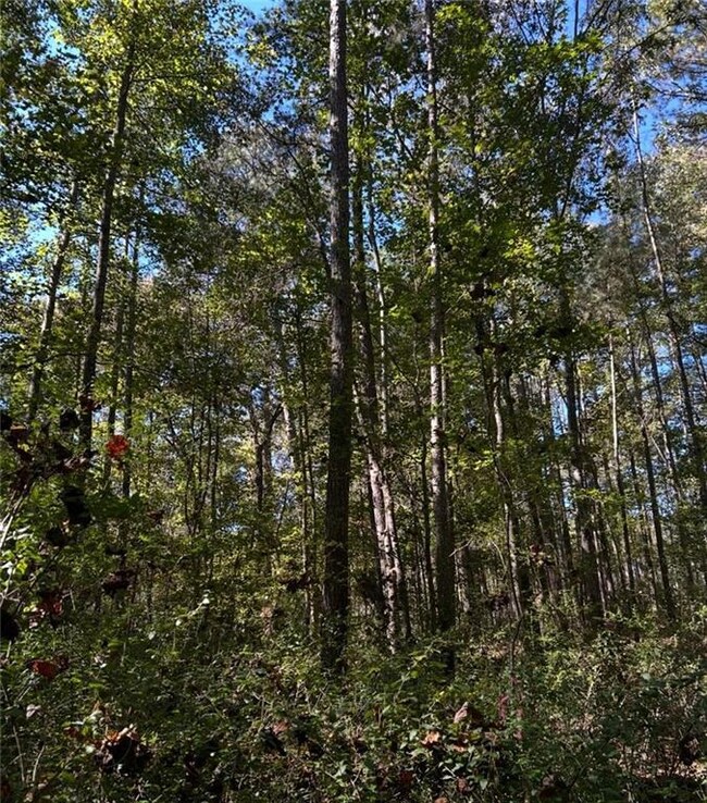 727 Musgrove Rd, Griffin, GA 30223 - photo 5