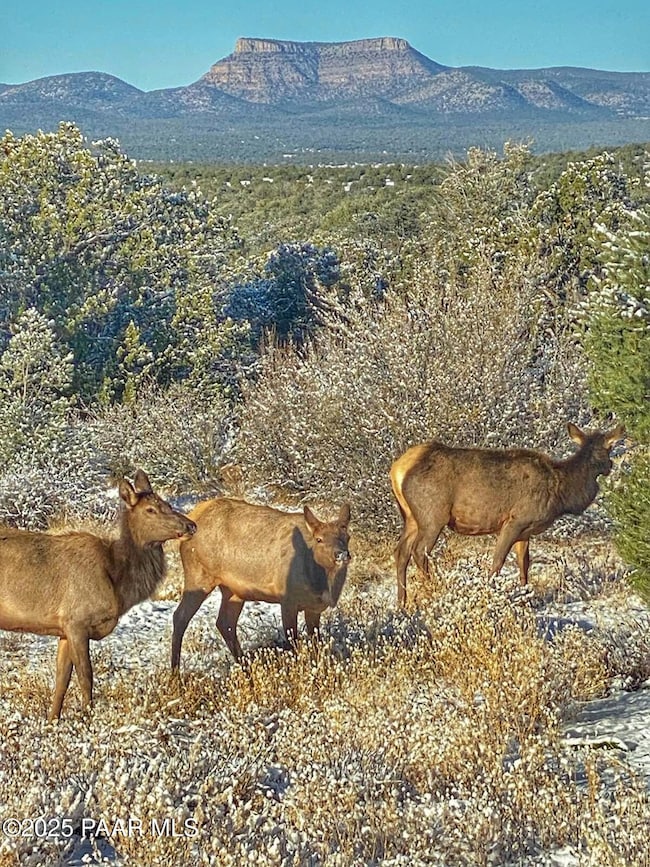 01 N Boulder Ridge, Seligman, AZ 86337 - photo 2