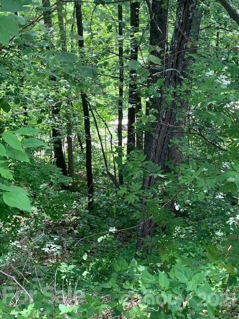 Lot 61 Mountain Air Dr, Price Creek, NC 28714 - photo 5