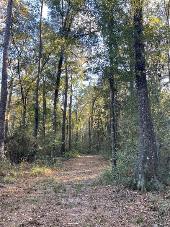 TBD Harvey Lavigne Rd, Ponchatoula, LA 70454 - photo 6