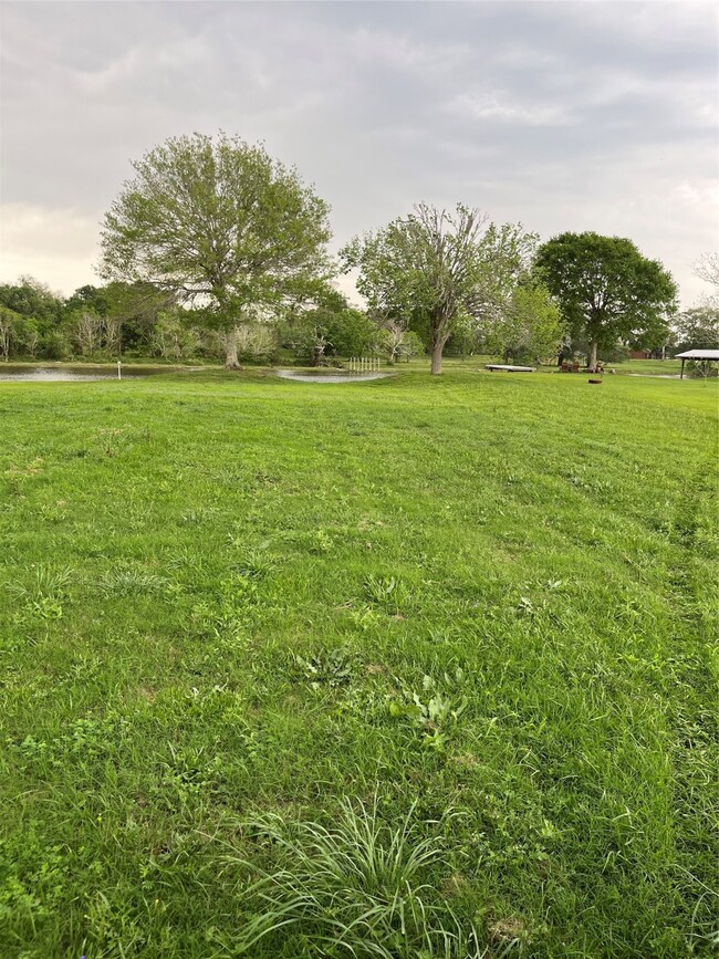 1175 Riverview Ranch Dr, Brazoria, TX 77422 - photo 6