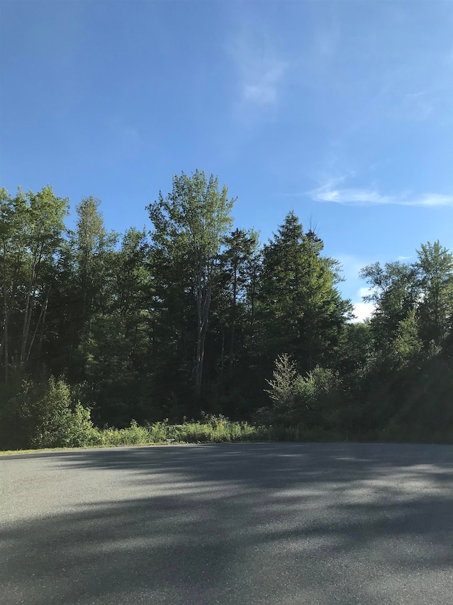 8 Cradle Hill Ln unit Lot 8, Grantham, NH 03753 - photo 5