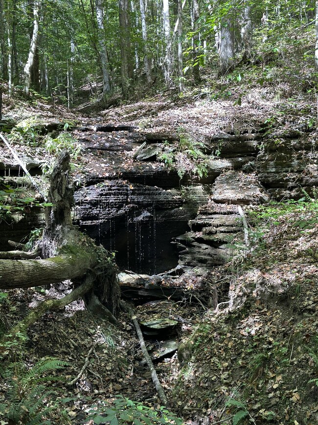 0 Hurricane Creek Rd unit RTC2567453, Linden, TN 37096 - photo 3