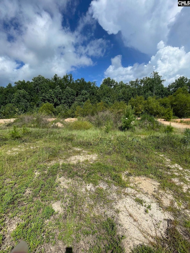 55 Edinburgh Ln, Camden, SC 29020 - photo 2