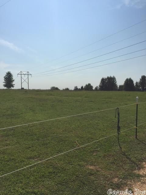 1114 Highway 351, Paragould, AR 72450 - photo 3