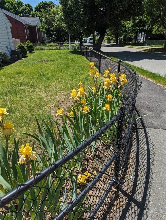 33 Curtis Ave, Quincy, MA 02169 - photo 4