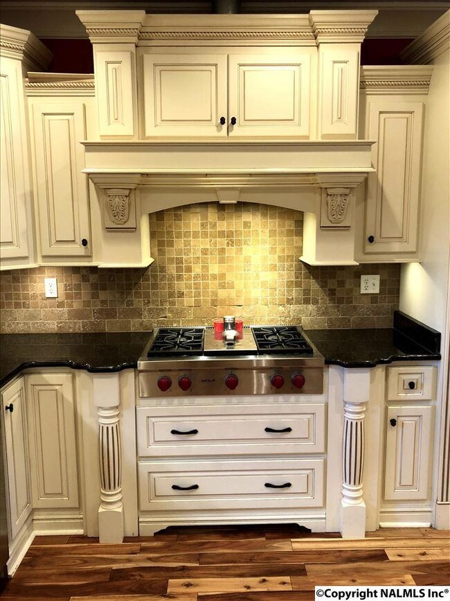 Gas Stove