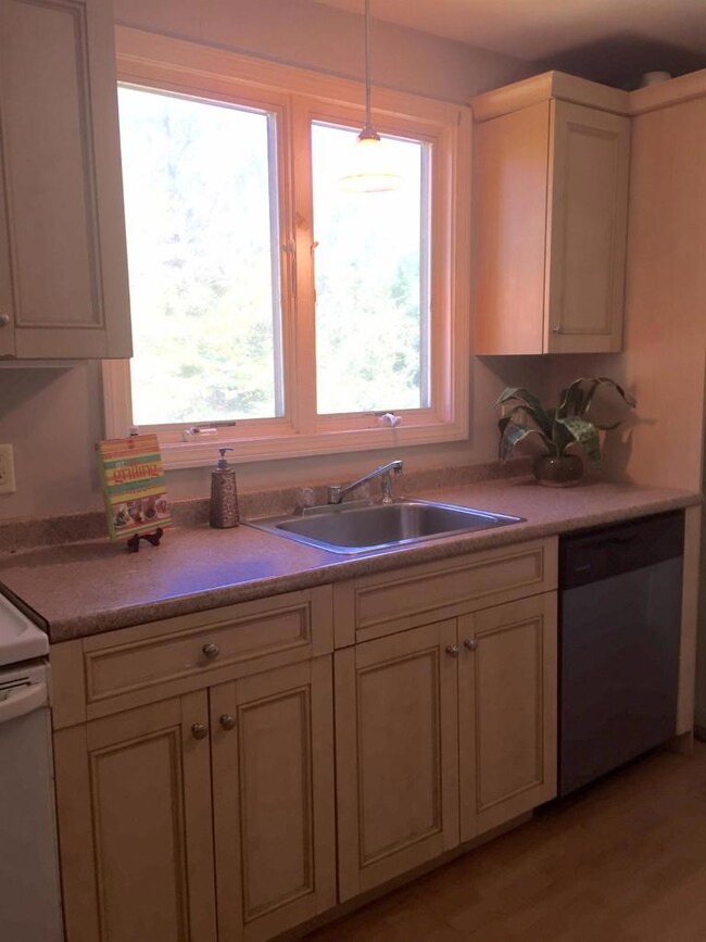 291 Trotting Park Rd, Teaticket, MA 02536 - photo 4