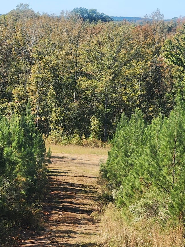 Highway 42, Culloden, GA 31016 - photo 2