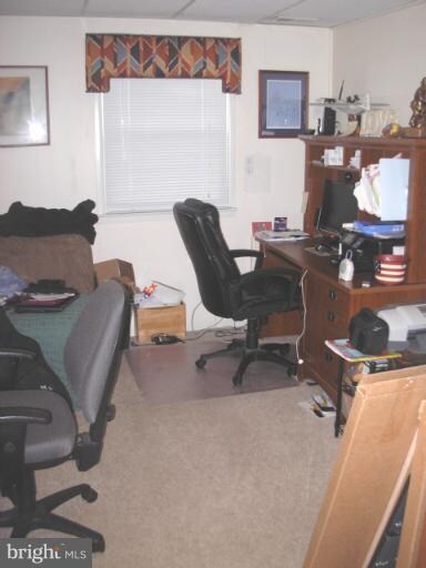 6608 Holford Ln, Springfield, VA 22152 - photo 4