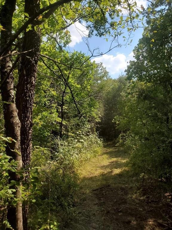 354 Grigg Rd, Sherman, TX 75090 - photo 5