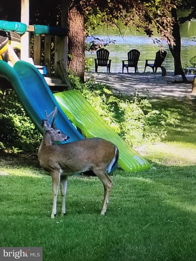 109 Indian Pipe Trail, Medford, NJ 08055 - photo 5