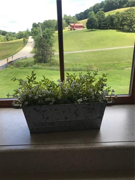 Looking at the view from the kitchen window.  Noti
