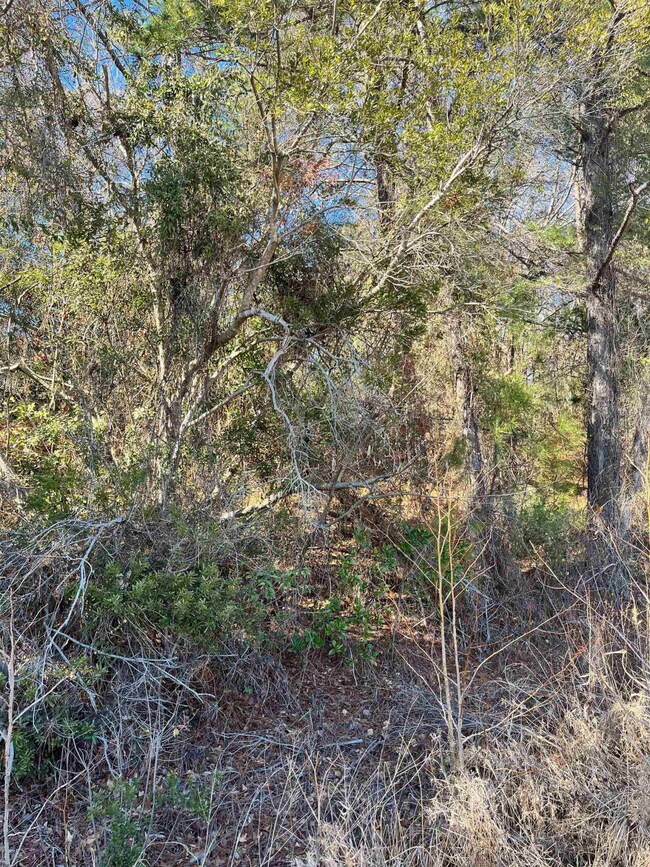 000 Ashley St, Fayetteville, NC 28305 - photo 5