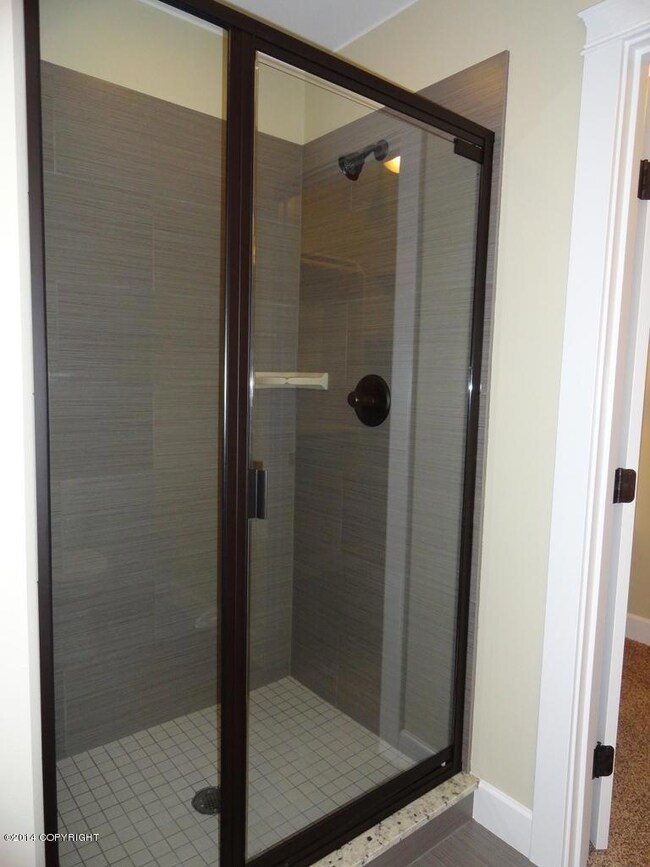 Walk-in Shower