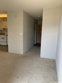 801 South St unit 1209, Honolulu, HI 96813 - photo 6