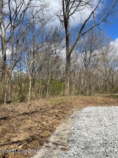 0 Sulphur Rd unit 1632435, Sulphur, KY 40070 - photo 3