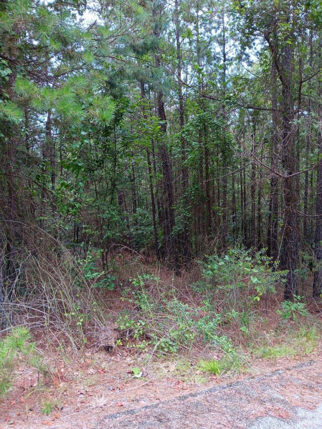 Lot 14 Thompson Cove Ln, Shirley, AR 72153 - photo 5