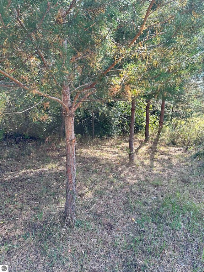 7191 Old 27, Vanderbilt, MI 49795 - photo 6