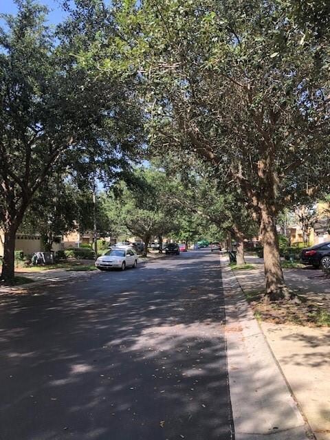Tree lined street