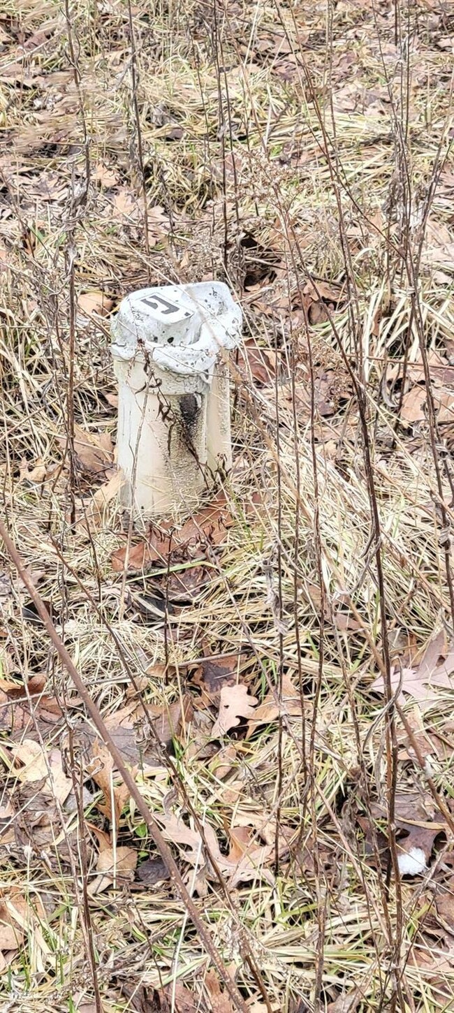 6629 W 135th Place, Cedar Lake, IN 46303 - photo 2