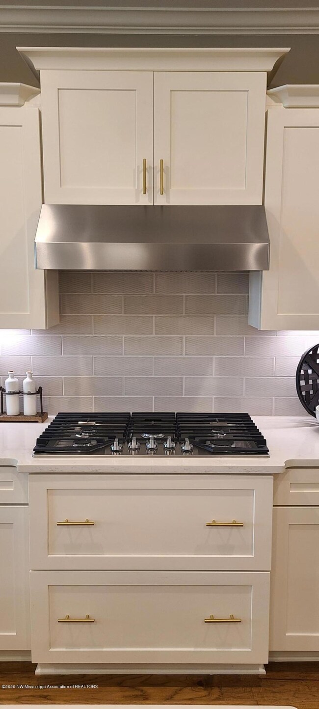Standard 5-Burner Gas Stove and Venthood