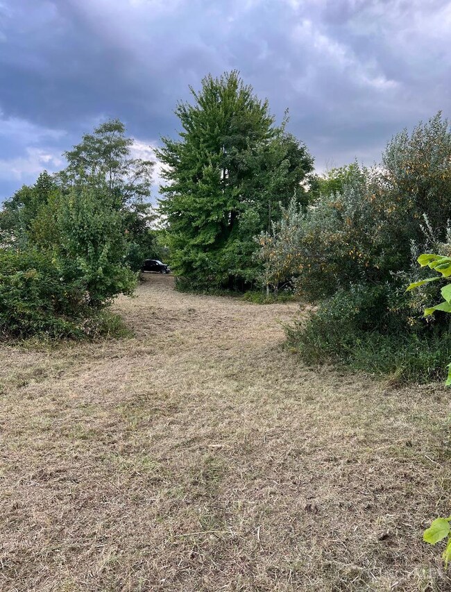 ac Richey Rd, Felicity, OH 45120 - photo 7