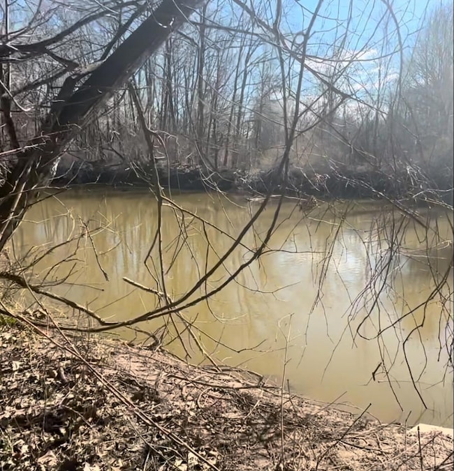 0 Woodland Ln unit 50163334, East China, MI 48054 - photo 7