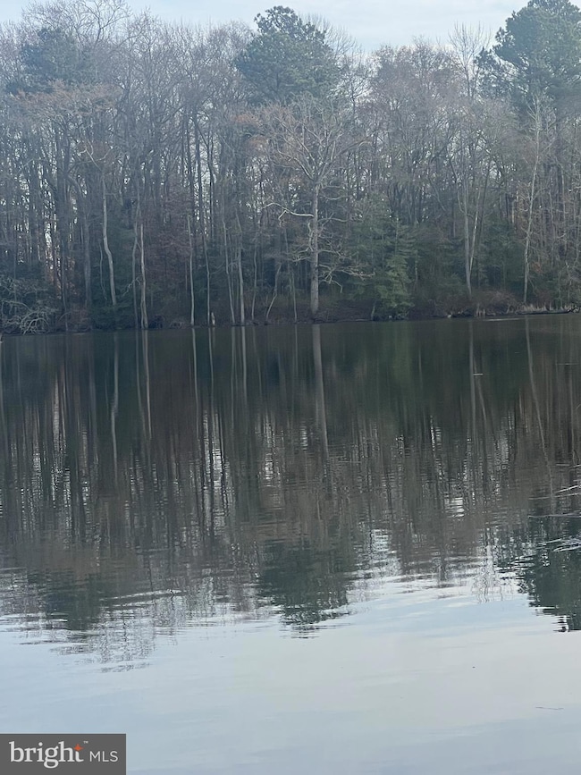 0 Cottman Rd, Allen, MD 21810 - photo 5