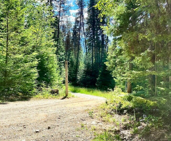 82 Leslie Ln, Ione, WA 99139 MLS 202324209