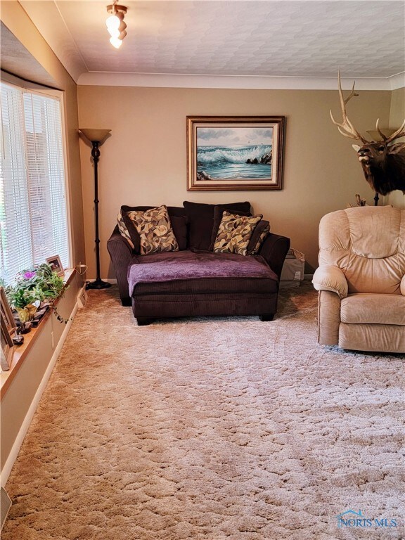 619 Riverside Dr, Woodville, OH 43469 - photo 4