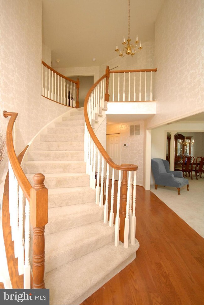 13613 Clary Sage Dr, Chantilly, VA 20151 - photo 2