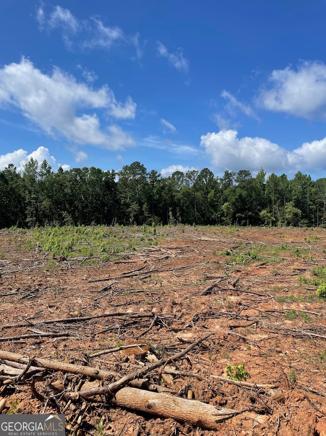 0 Allen Rd unit 10628619, Butler, GA 31006 - photo 3