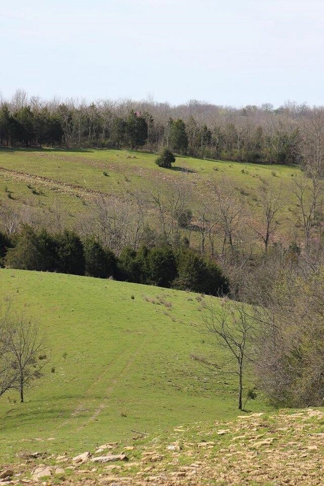 711 Bethel Rd, Harrodsburg, KY 40330 - photo 4