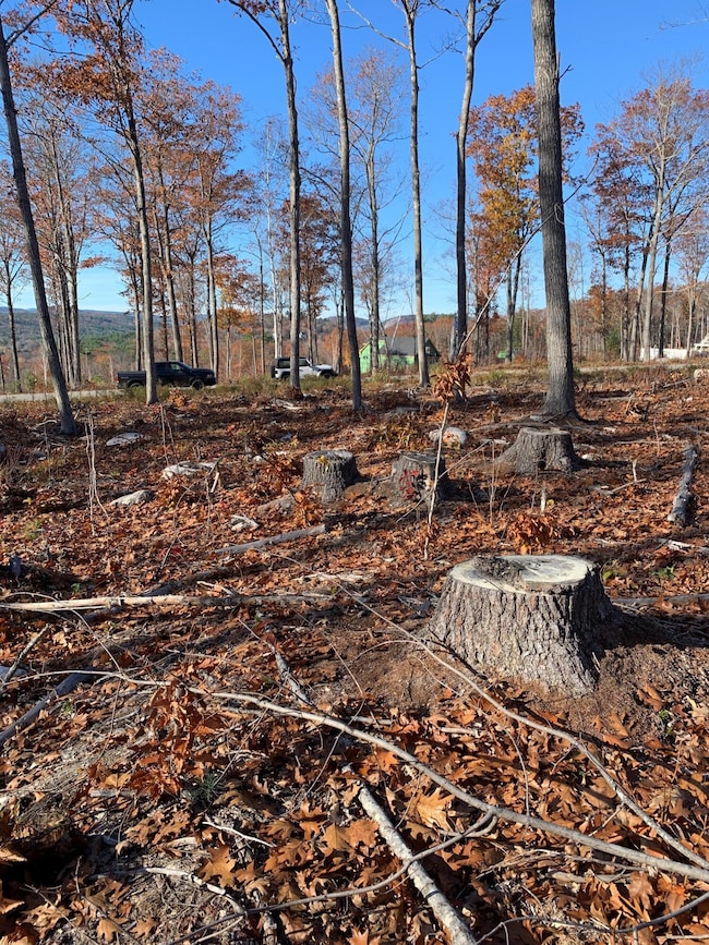 Lot 17 Birch Cir, Harrison, ME 04040 - photo 6