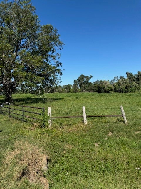8208 County Road 400, Brazoria, TX 77422 - photo 5