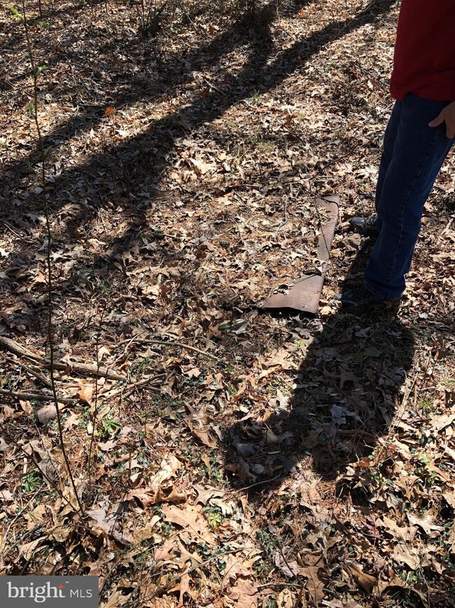 4910 Greenbranch St, Partlow, VA 22534 - photo 3