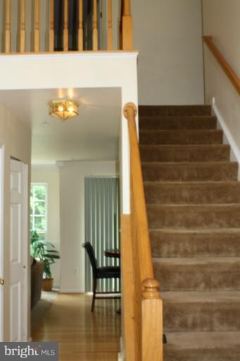 8602 Hillview Rd, Hyattsville, MD 20785 - photo 6