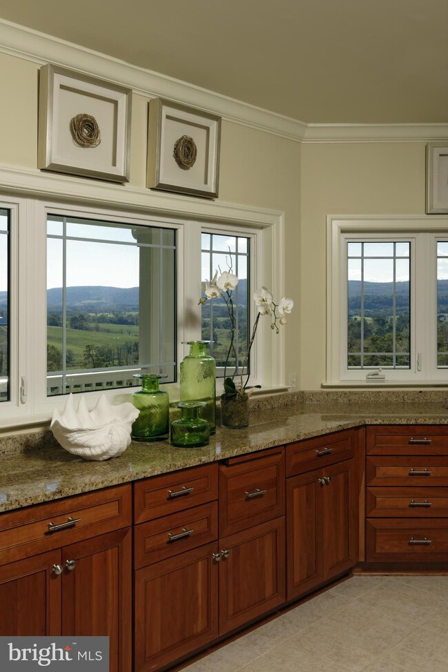 14914 Manor View Ln, Hillsboro, VA 20132 - photo 6