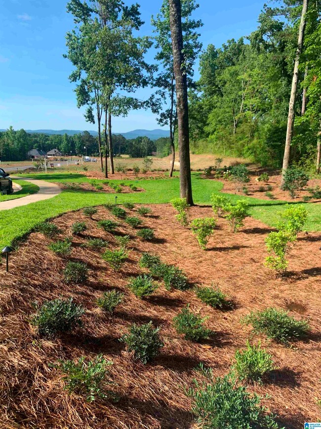 0 Village Cir unit 1-45 1306913, Anniston, AL 36207 - photo 6