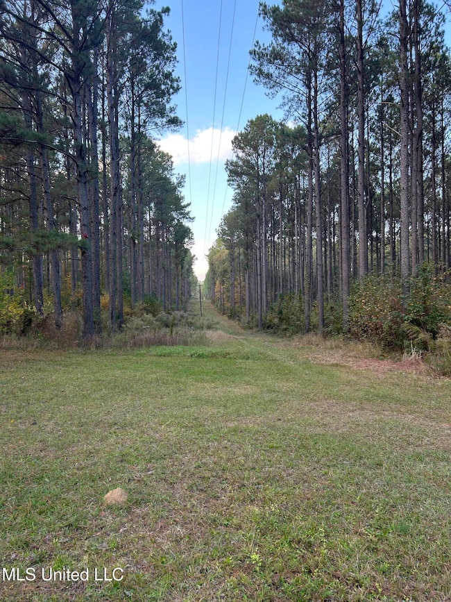 4024 Old Mill Rd, Osyka, MS 39657 - photo 4