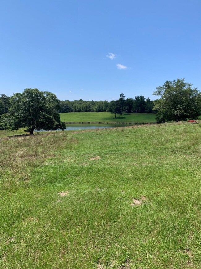 1 county line rd