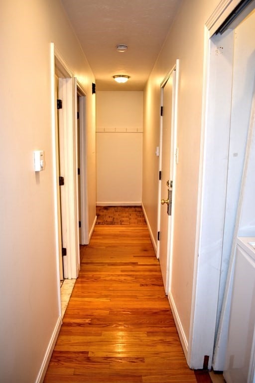 390 Centre St unit 2, Jamaica Plain, MA 02130 - photo 5