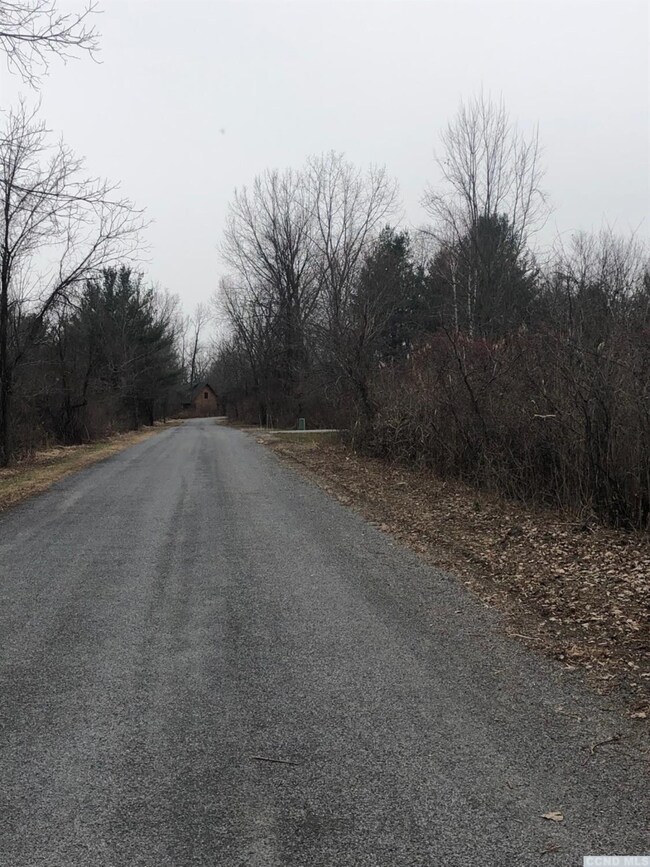 39 - L Debbie Dr, Athens, NY 12015 - photo 5