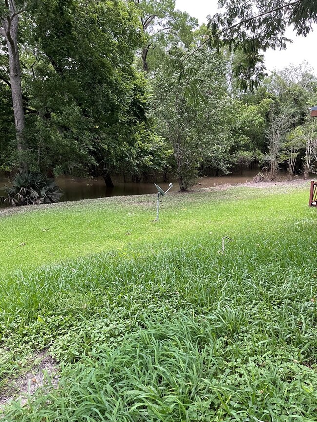 39 County Road 427 S, Dayton, TX 77535 - photo 5